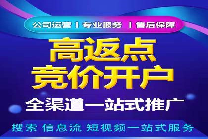 百度推广服务费案例：打造爆款产品营销策略